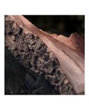 Thumbnail 4 de Chloé Eau de Parfum Rose Naturelle 100 ml perfume