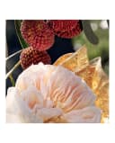 Thumbnail 2 de Chloé Eau de Parfum Signature perfume 75 ml