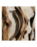 Thumbnail 4 de Dolce & Gabbana Light Blue estuche regalo