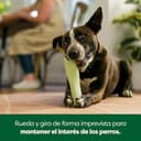 Thumbnail 3 de Earth Rated Juguete para Perros pequeño, goma natural 🐶