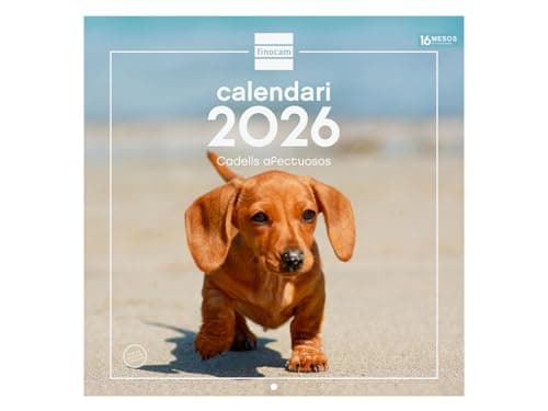 Imagen de Finocam Calendario de pared 2026 30x30 cm 📅 en OfertitasTOP