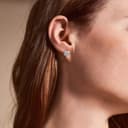 Thumbnail 1 de FOSSIL Pendientes de Acero Inoxidable Plata Ártico 📿