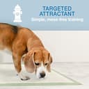 Thumbnail 5 de Four Paws Wee-Wee Almohadillas 6 capas para perro 🐶