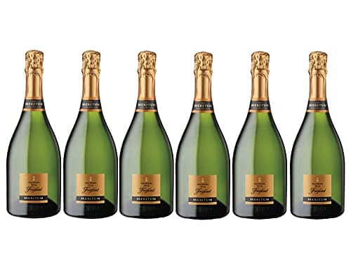 Imagen de Freixenet Meritum cava 6 botellas 4.500 ml 🍷 en OfertitasTOP