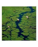 Thumbnail 4 de Guerlain Aqua Allegoria Flora Salvaggia 125 ml 🌸