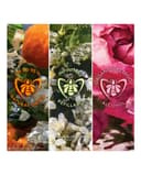 Thumbnail 4 de Guerlain Aqua Allegoria Forte Rosa Rossa — Estuche de regalo 💄