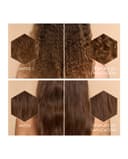 Thumbnail 4 de Guerlain Tramiento Capilar Honey Bond sin aclarado 150 ml