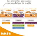 Thumbnail 5 de IAMS Advanced Nutrition Gatitos, pollo en salsa 12x85 g 🐱