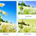 Thumbnail 2 de Kinsi DC403 Cámara digital 24 MP, 2,4" negra 📷