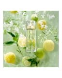 Thumbnail 1 de Lancôme Ô de Lancôme Eau de Toilette 125 ml 🌿