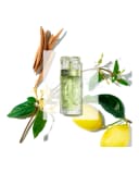 Thumbnail 3 de Lancôme Ô de Lancôme Eau de Toilette 125 ml 🌿