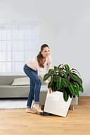 Thumbnail 1 de Lechuza Base Enrollable Classico 60 ruedas negra