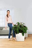 Thumbnail 2 de Lechuza Base Enrollable Classico 60 ruedas negra