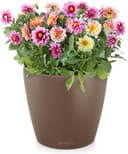 Thumbnail 1 de Lechuza Classico Color 43 macetero con riego 33 l