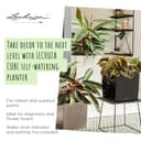 Thumbnail 1 de LECHUZA Cube Premium 40 Blanco Brillante 40 cm 🪴