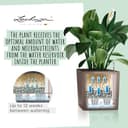 Thumbnail 2 de LECHUZA Cube Premium 40 Blanco Brillante 40 cm 🪴