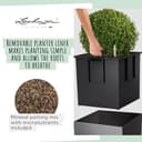 Thumbnail 4 de LECHUZA Cube Premium 40 Blanco Brillante 40 cm 🪴