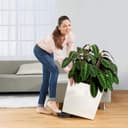 Thumbnail 1 de Lechuza Premium Cubeta de Plantado Cerrada 🪴 50x50x50cm Blanco