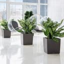 Thumbnail 2 de Lechuza Premium Cubeta de Plantado Cerrada 🪴 50x50x50cm Blanco