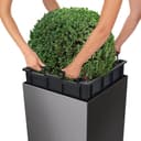 Thumbnail 5 de Lechuza Premium Cubeta de Plantado Cerrada 🪴 50x50x50cm Blanco