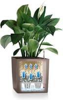 Thumbnail 6 de Lechuza Premium Cubeta de Plantado Cerrada 🪴 50x50x50cm Blanco