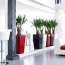 Thumbnail 2 de Lechuza Cubico Premium macetero 31 l Blanco Brillante