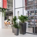 Thumbnail 4 de Lechuza Cubico Premium macetero 31 l Blanco Brillante