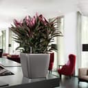 Thumbnail 4 de Lechuza Quadro Premium LS 28 28 cm blanco brillante 🪴