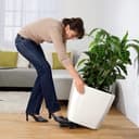 Thumbnail principal de Lechuza Quadro Premium macetero 50 cm