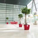 Thumbnail 2 de Lechuza Quadro Premium macetero 50 cm