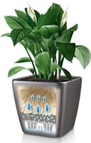 Thumbnail 4 de Lechuza Quadro Premium macetero 50 cm