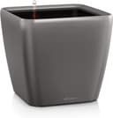 Thumbnail 6 de Lechuza Quadro Premium macetero 50 cm