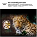 Thumbnail 2 de LG QNED AI 43QNED81A6A 43" 4K UltraHD Smart TV 📺