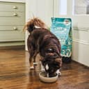 Thumbnail 6 de Lily's Kitchen Completo Pienso perros 12 kg