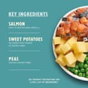 Thumbnail 1 de Lily's Kitchen Elaborado, pienso seco para perros 2,5 kg 🐶