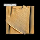 Thumbnail 4 de L’Oréal Professionnel Absolut Repair mascarilla 250 ml