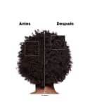 Thumbnail 4 de L'Oréal Professionnel Meteora Absolut Repair Trio 🎁