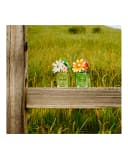 Thumbnail 5 de Marc Jacobs - Eau de Parfum Daisy Wild 🌼 Intensidad Floral