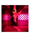 Thumbnail 3 de Máscara LED Anti-Envejecimiento para Manos 221 🧴