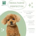 Thumbnail 4 de MENFORSAN Champú perros hidratante 5 L 🐶