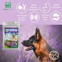 Thumbnail 1 de MENFORSAN Pack 4 collares anti-insectos para perros 🐶