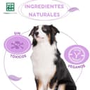 Thumbnail 5 de MENFORSAN Pack 4 collares anti-insectos para perros 🐶