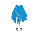 Thumbnail 1 de Olsson and Brothers Compact Wasabi, carpa plegable ⛺