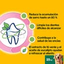 Thumbnail 6 de Pedigree Dentastix Fresh Snack para perros grandes, 10 paquetes 🐶