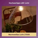 Thumbnail 1 de Philips Bombilla LED E27 150W Blanco Cálido 💡