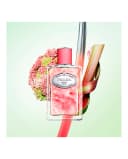 Thumbnail 1 de PRADA BEAUTY Infusion de Rhubarbe perfume 100 ml