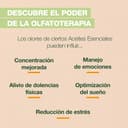 Thumbnail 2 de PRANARÔM Aromaboost Energy Bruma energizante 50 ml