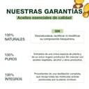 Thumbnail 2 de PRANAROM Aromaforce Oleobiotic cápsulas 15 unidades para vías respiratorias