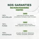 Thumbnail 2 de PRANAROM Ravintsara Aceite esencial 10 ml 🌿