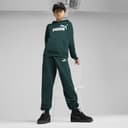 Thumbnail 6 de PUMA ESS No. 1 Logo Sweatpants TR B pantalón niños 164 👖